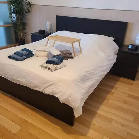Apartment Loft De 130 M2 Avec Et Billard *